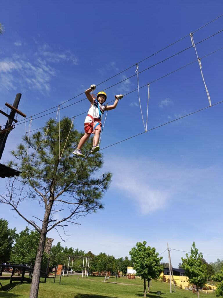 whatsapp image 2025 10 16 at 13.31.07