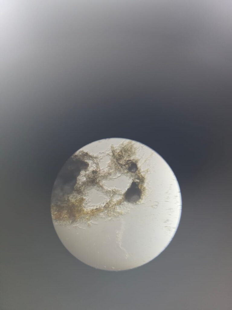 1000825162